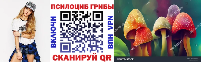 купить закладку  Нурлат  Псилоцибиновые грибы Magic Shrooms 